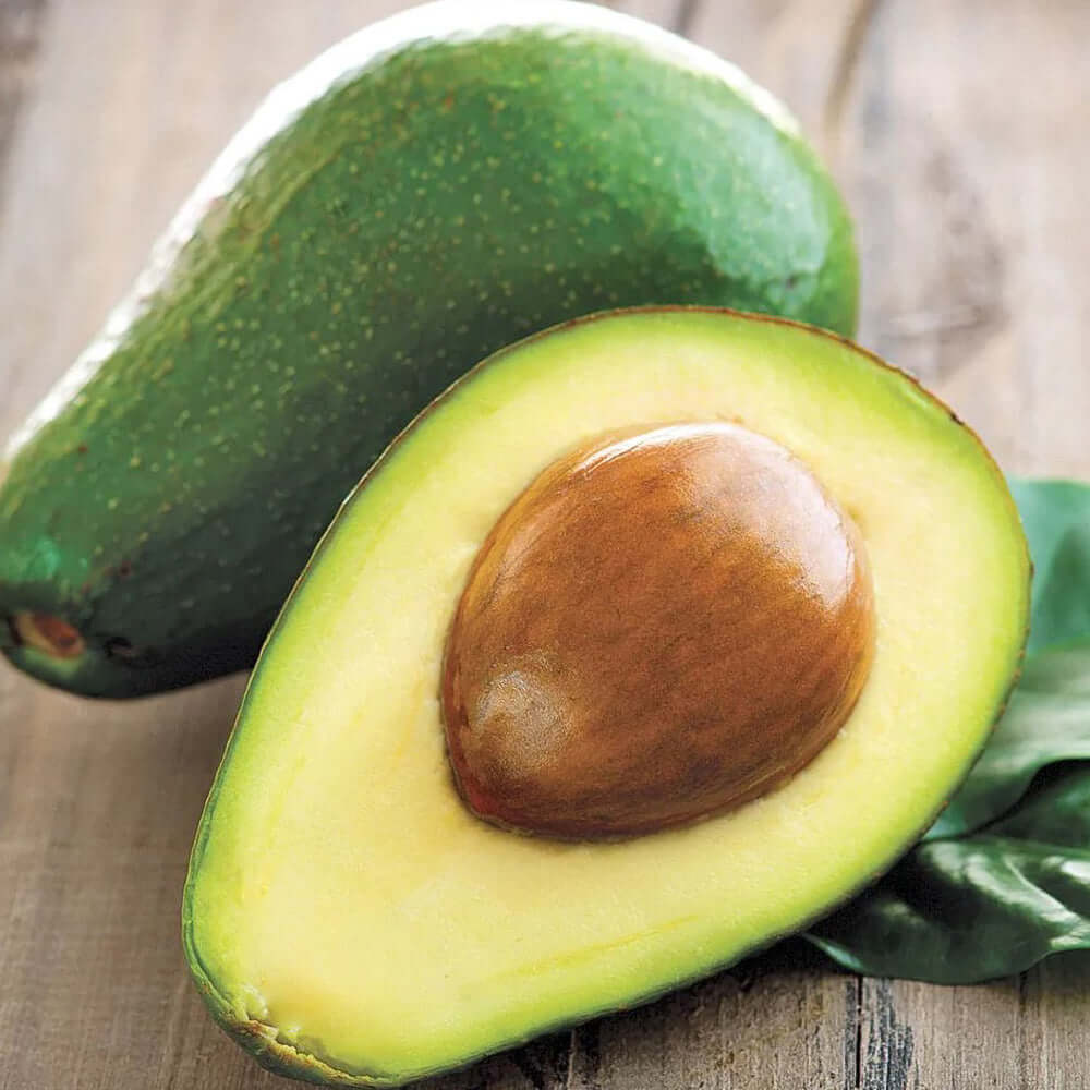 Little Cado Avocado (7863714775295)