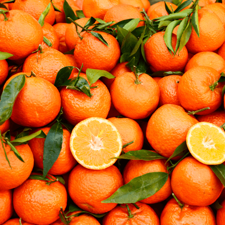 Clementine Mandarin Tree (7863713693951)