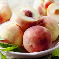 Babcock Peach (7823950545151)