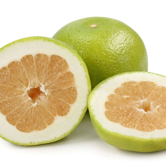 Oroblanco Grapefruit Tree (7863713890559)