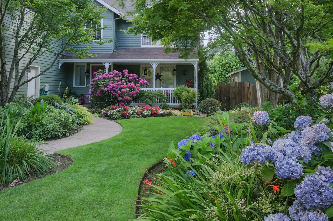 Comprehensive Guide to Garden Design and Landscaping: Cultivating Outdoor Bliss