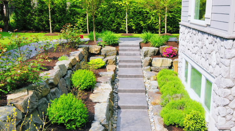 Safe & Easy Landscape Installation | Plants Express