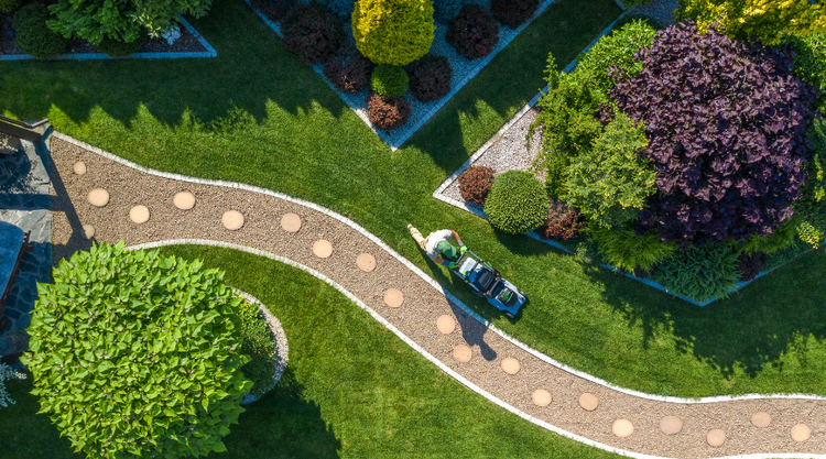 Landscape Layout Design: DIY Guide | Plants Express
