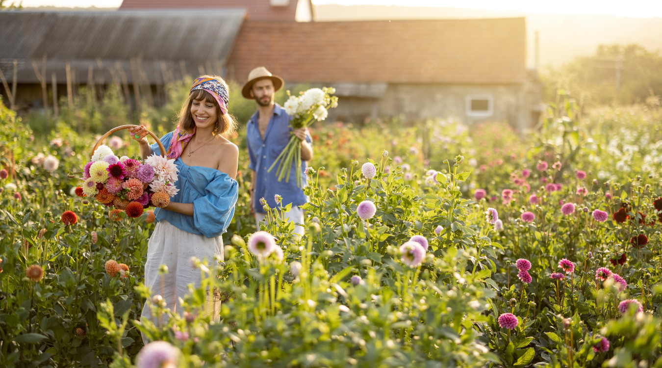 5 Essential Spring Flower Planting Tips for a Stunning Garden
