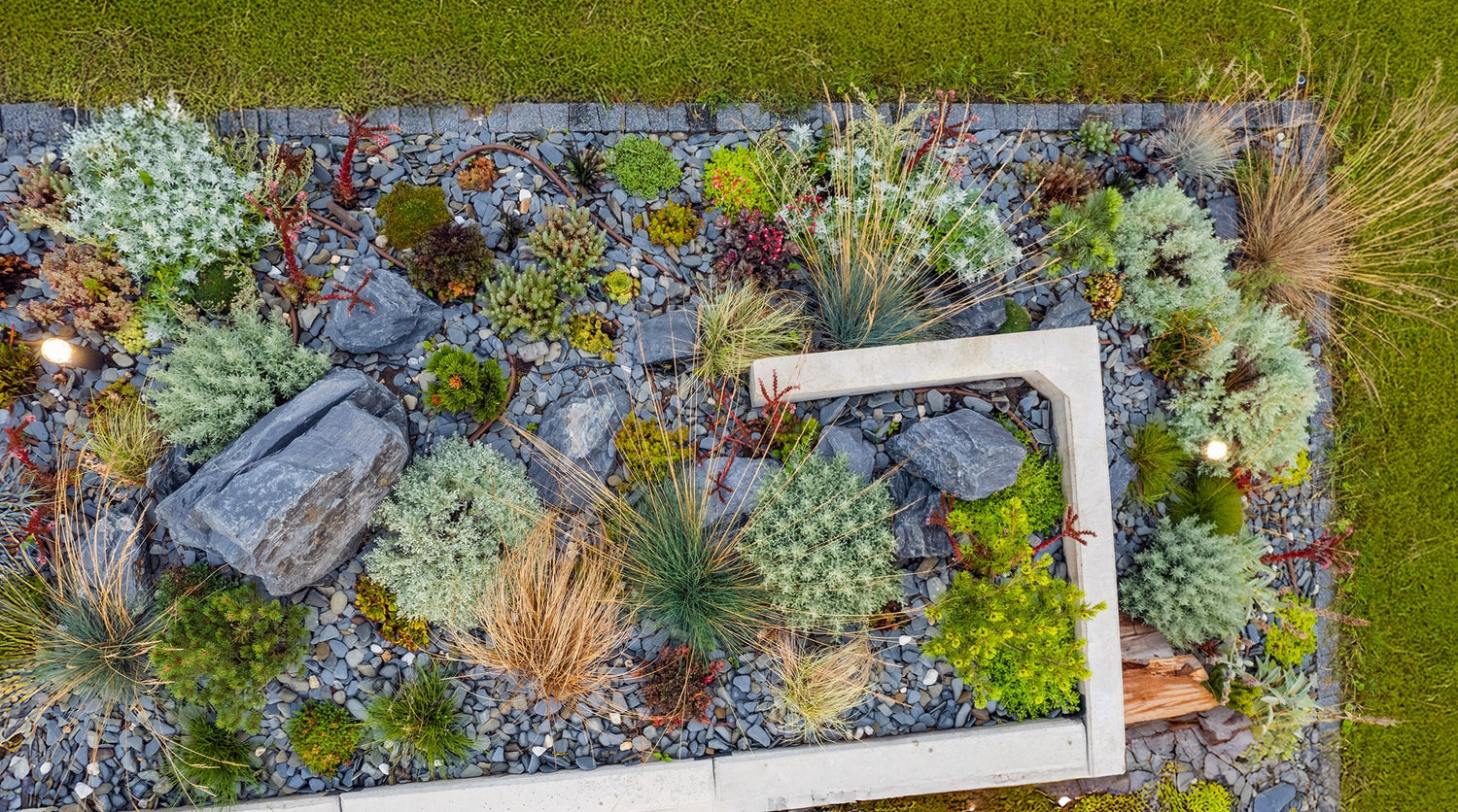 Landscape Ideas | Plants Express