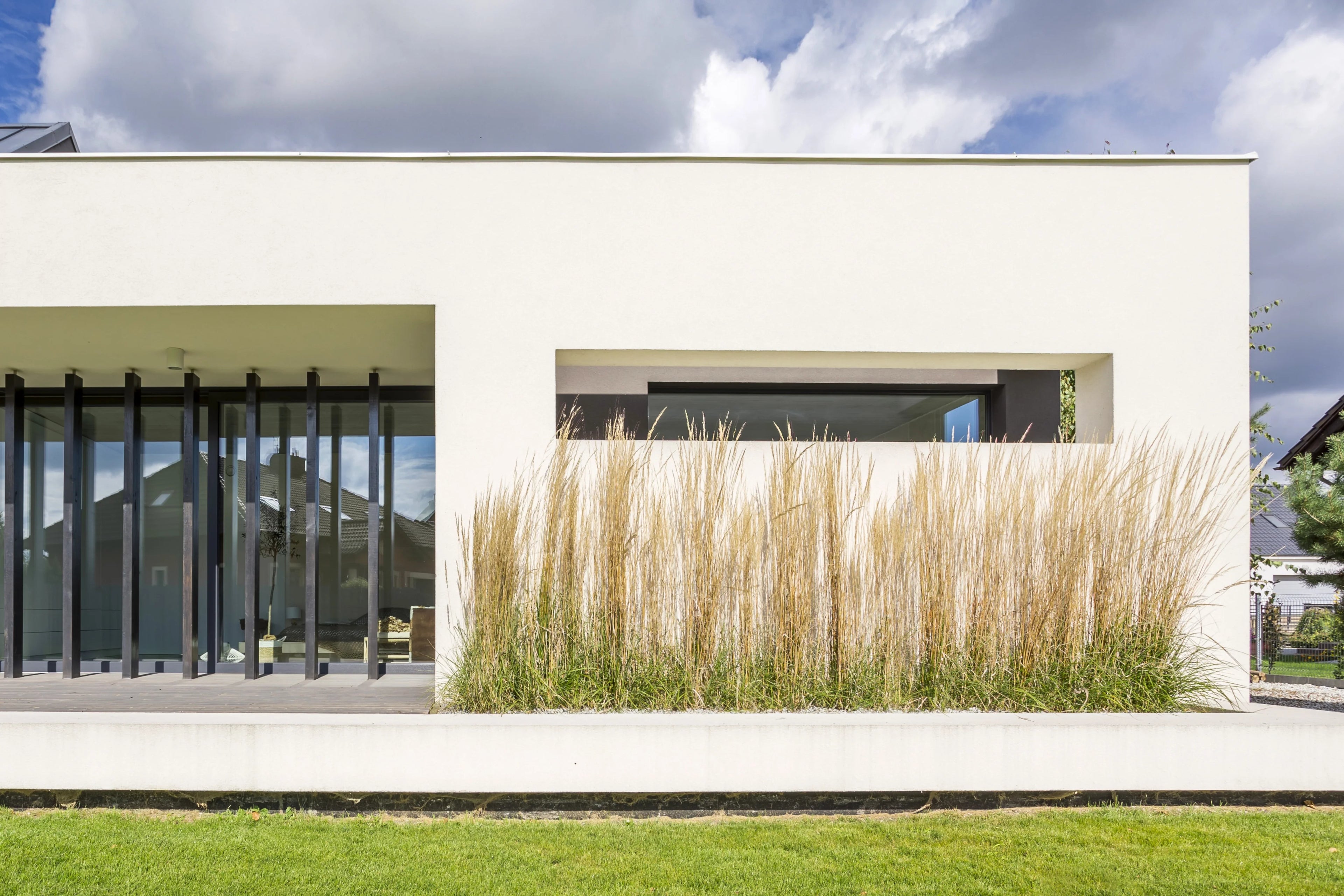 ornamental grass along modern luxurious estate