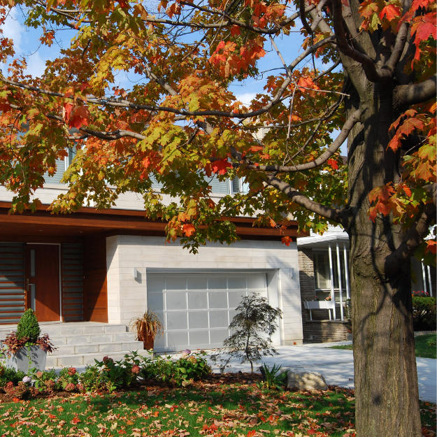 Tree shading home 