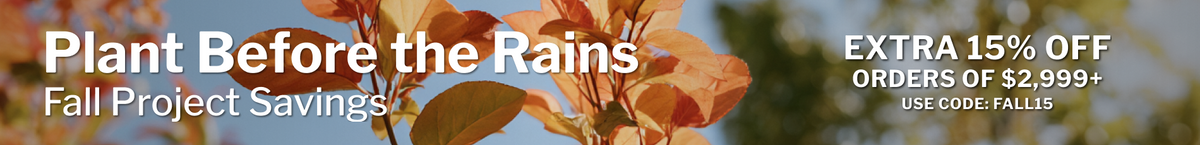 Fall Promo Banner Desktop from Daena