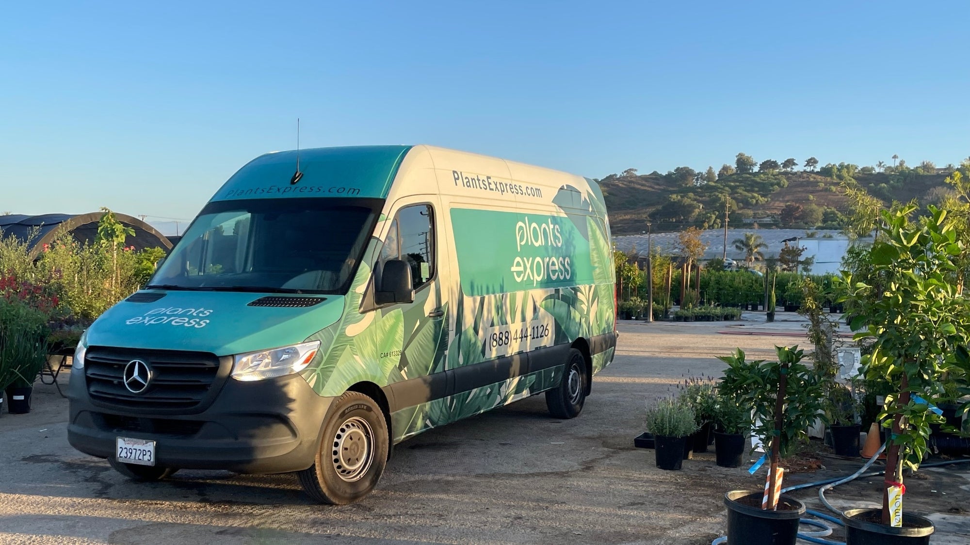Plants Express - California's Premier Online Nursery