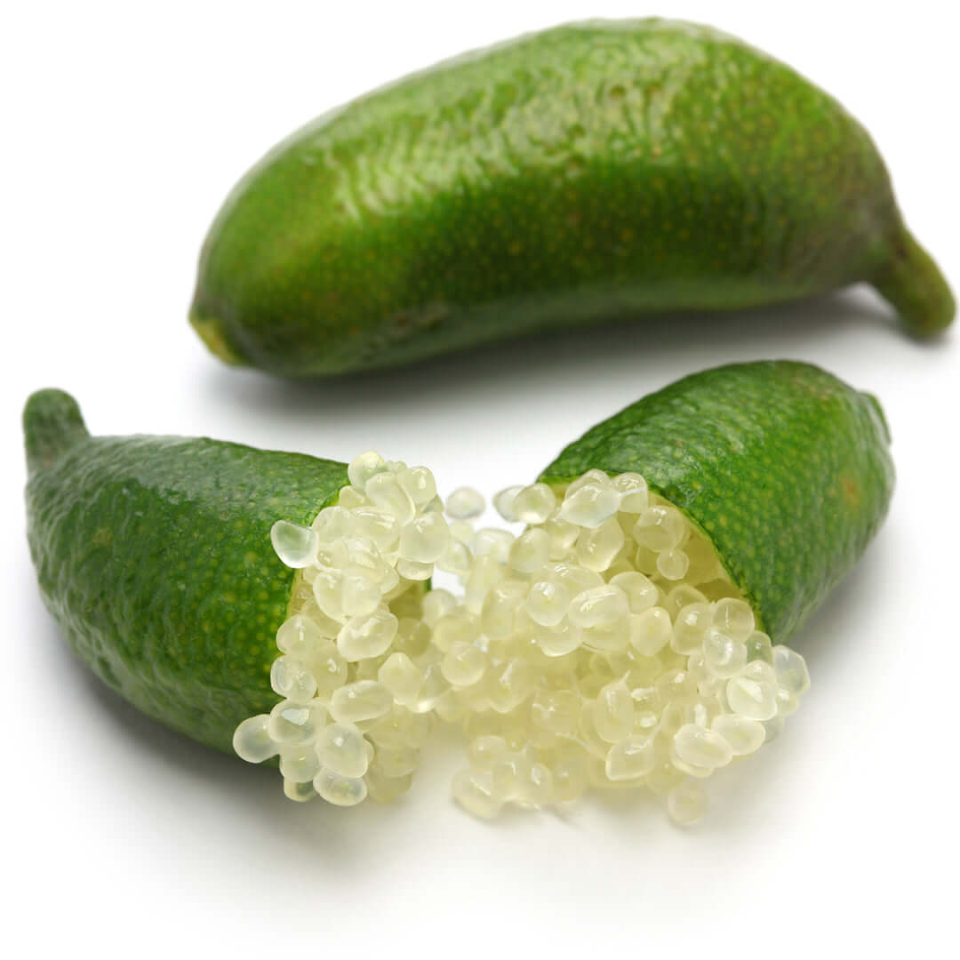 Australian Finger Lime (Citrus australasica)