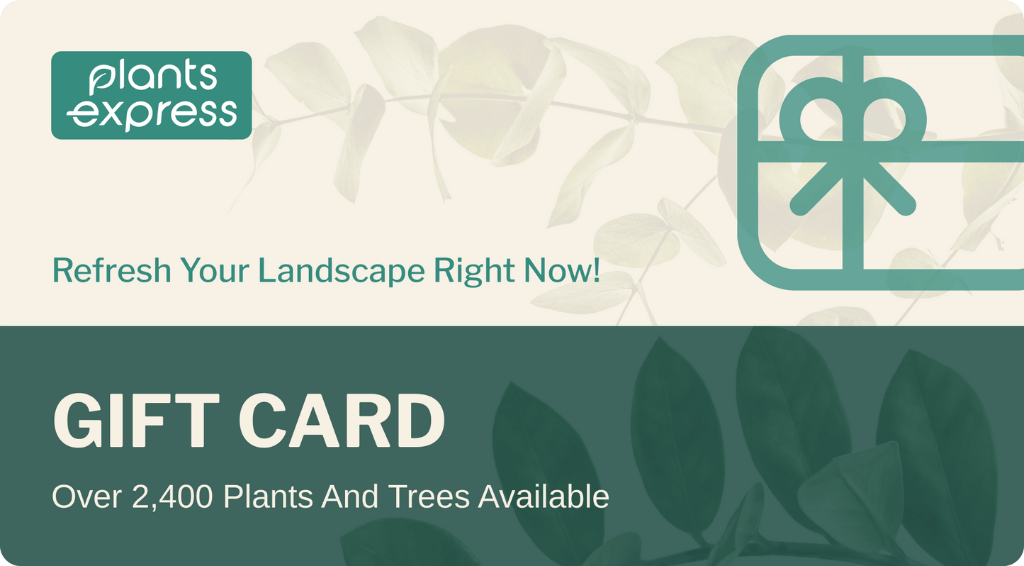 Plants Express Gift Card (7874363523327)
