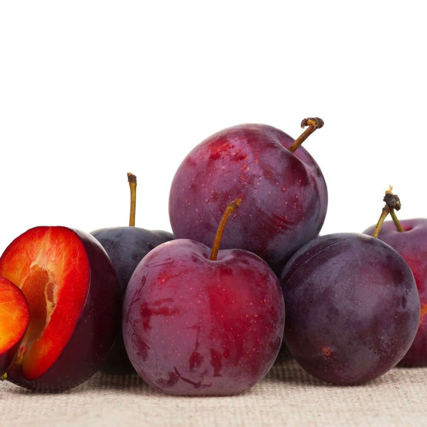 Satsuma Plum Tree Plants Express